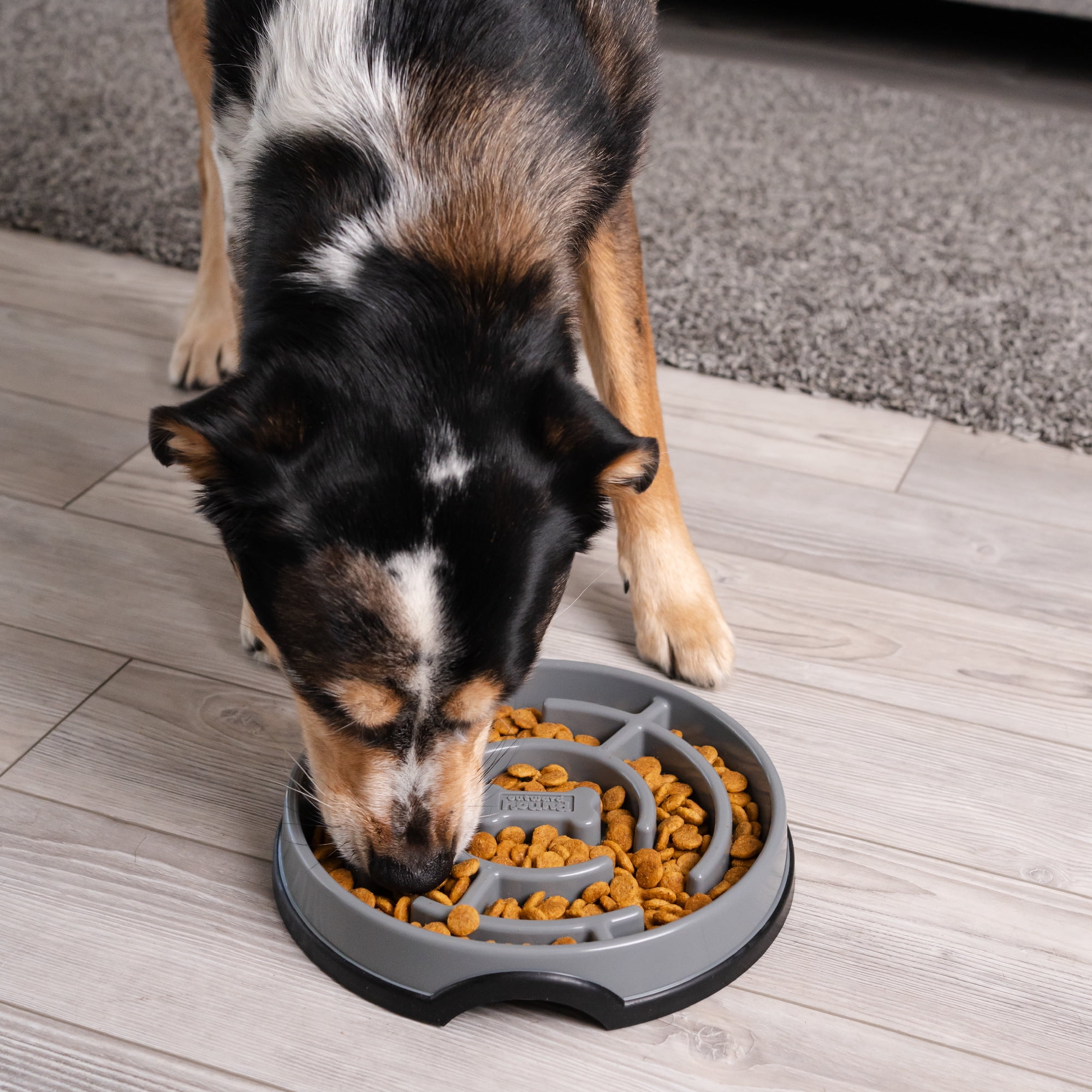 (2 pack) Outward Hound Fun Feeder Maze Gry LG