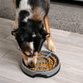 thumbnail image 6 of Outward Hound Slow Fun Feeder Bowl, Slow Feeder Dog Bowl, Gray, Large, 6 of 6