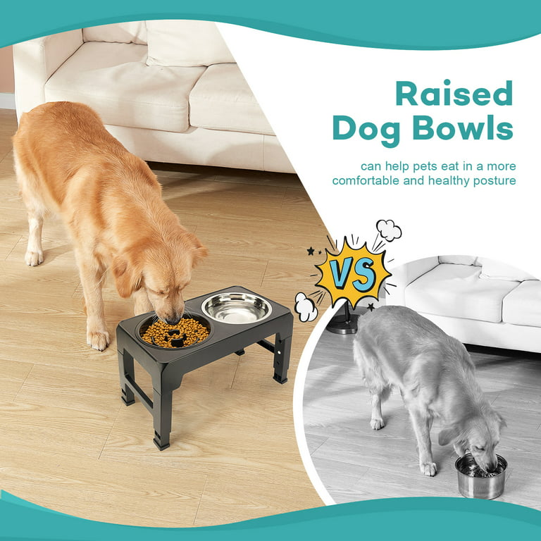 Pawque Elevated Dog Bowls for Large Medium Small Dogs With Storage, 4  Height Adjustable Raised Dog Bowl with Slow Fooding Bowl and Water Bowl, 2  Bowls 