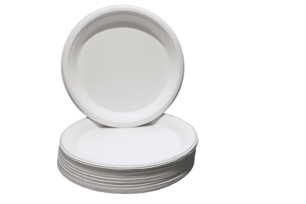 12" Round Plate, Compostable, Sugarcane Bagasse, Heavy Duty Disposable Plates for Party, BBQ, Picnic, Catering Pack of 100
