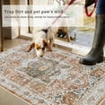 thumbnail image 3 of SHILIU-Caknowow Boho Entryway Rugs 3x5 Washable Non Slip Large Front Door Mat Indoor Entrance Dirt Trapper Vintage Entry Rug Floor Mats for House Low Profile Indoor Mats for Entrance Front Door Mudro, 3 of 4