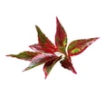 thumbnail image 1 of 1 Manojo de Magnolia Artificial de Plantas para Decoración de Balcones Domésticos 4, 1 of 6