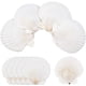 thumbnail image 1 of 10 conchas marinas naturales grandes para manualidades, conchas de vieira blancas para pintar, decoración de playa, bodas, decoración del hogar, 3,7-4 pulgadas, 1 of 6