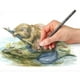 thumbnail image 4 of Staedtler - Lápices de grafito tintados solubles en agua, juego de acuarela, preafilados, 12 colores, 4 of 7