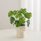 thumbnail image 5 of Artificial Bonsai Simulated Flowers Fake Green Plant Small Potted Floral Arrangement Desktop Decoration Handheld Wedding Bouquet Photography Prop, 5 of 5