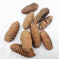 thumbnail image 5 of 10 PCS Large Spruce Pine Cones, Big Natural Pinecones for Christmas & Fall/Winter Decor, Vase/Bowl Filler, Wreath & Craft Ornaments,C, 5 of 6