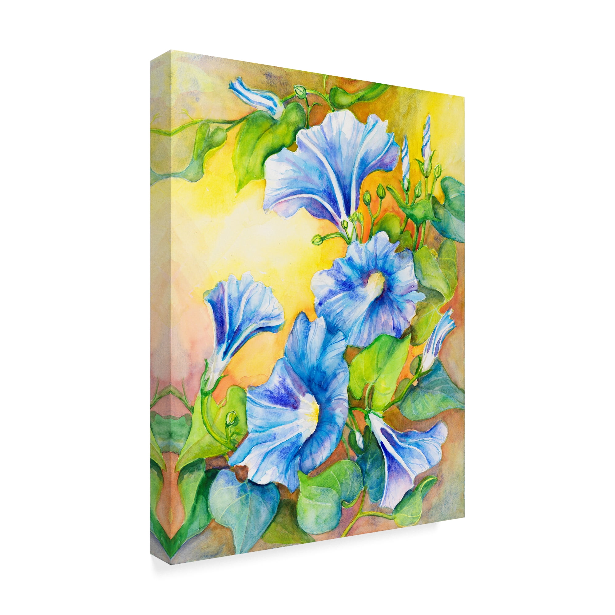 Trademark Fine Art 'A Morning Glory Vine' Canvas Art by Joanne Porter