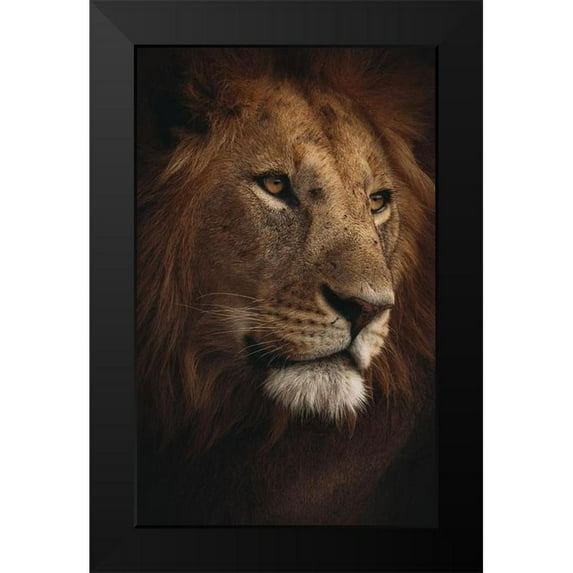 Alshammari, Fahad 17x24 Black Modern Framed Museum Art Print Titled - Pride of Savanna