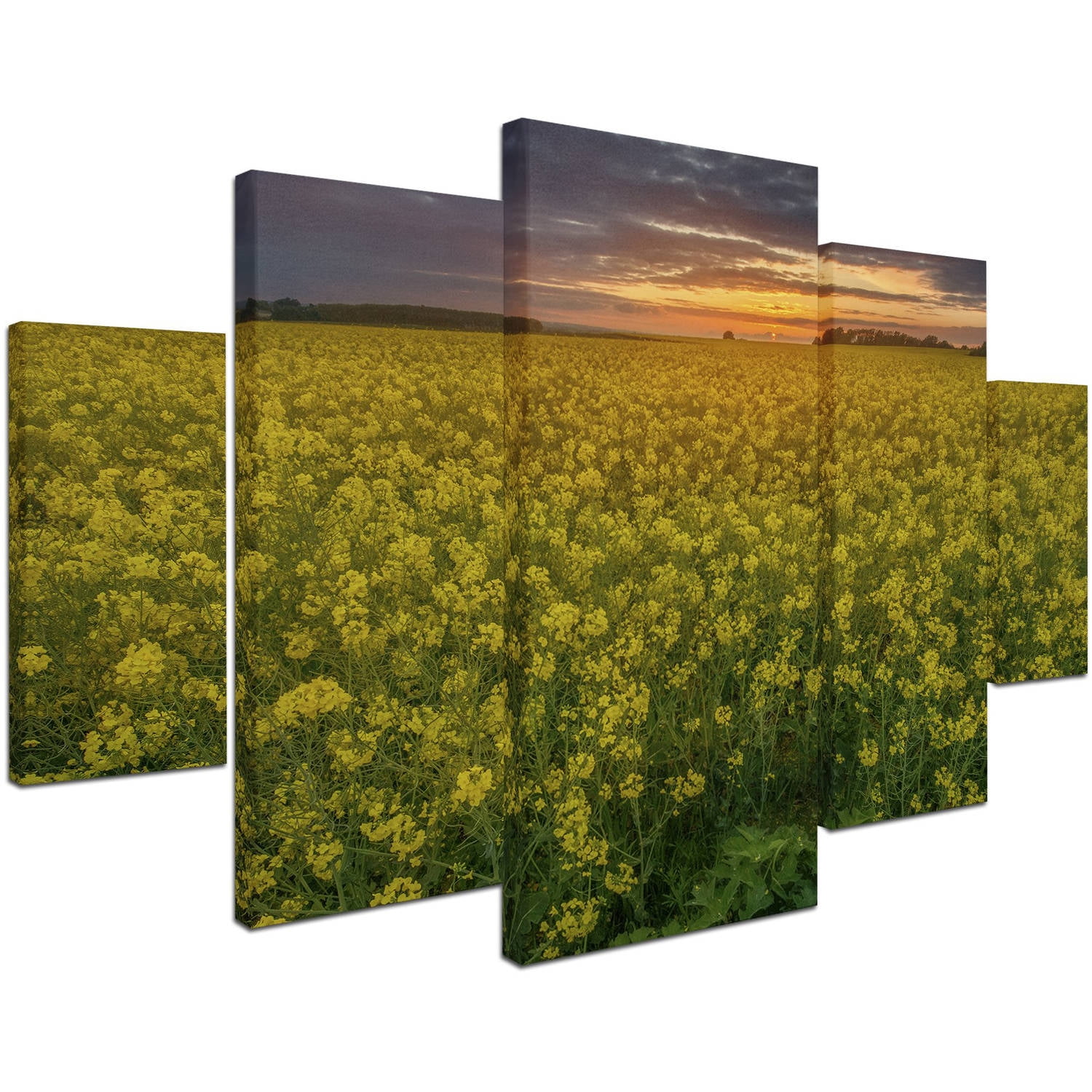 Trademark Fine Art "Yellow Planet" Canvas Art by Mathieu Rivrin 5-Panel Set