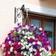 thumbnail image 1 of Ganchos de soporte para colgar plantas de Metal, soporte de pared para exteriores para plantas, macetas, comedero para pájaros, campanillas de viento, linternas, 1 of 8