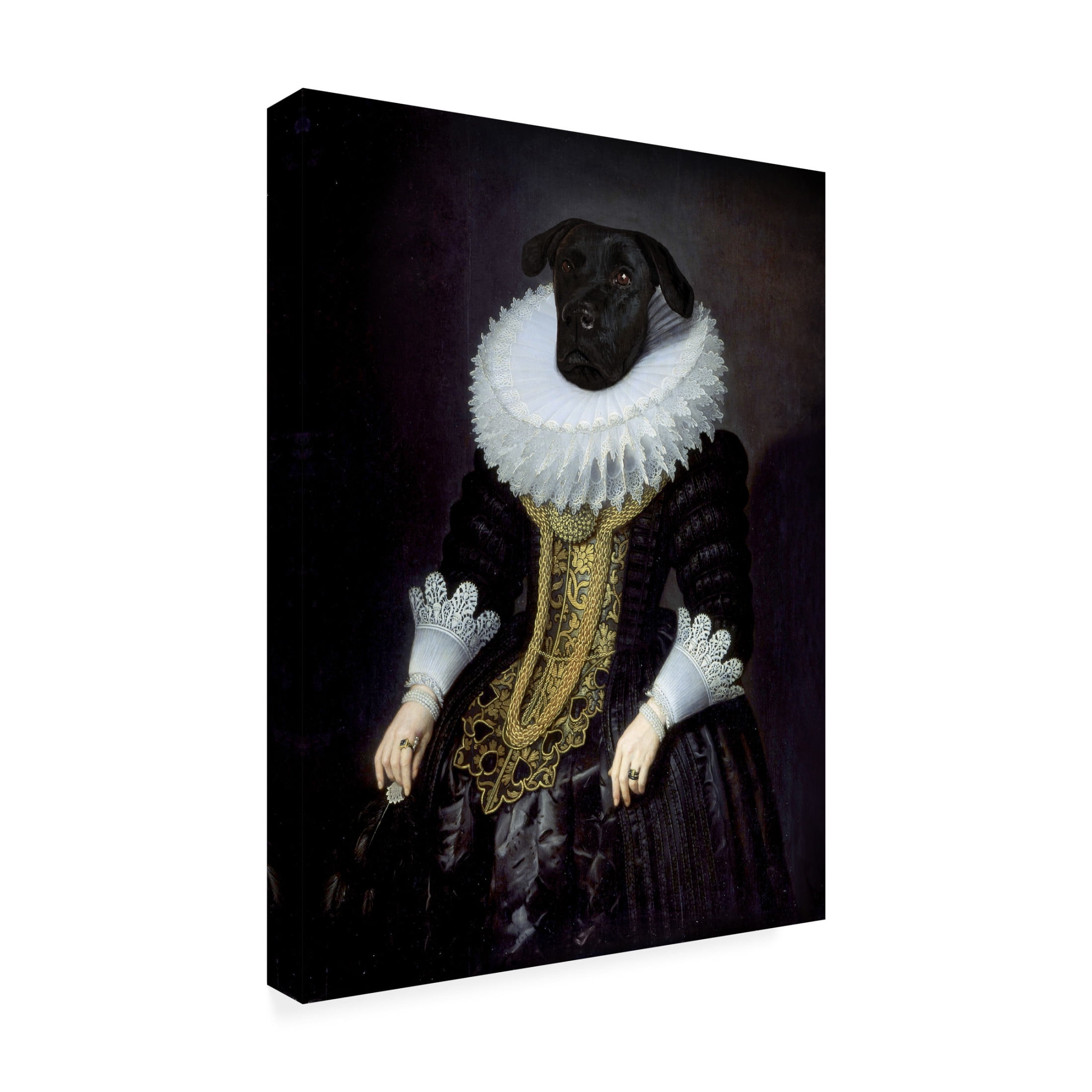 Trademark Fine Art Florent Bodart Anouk Canvas Wall Art