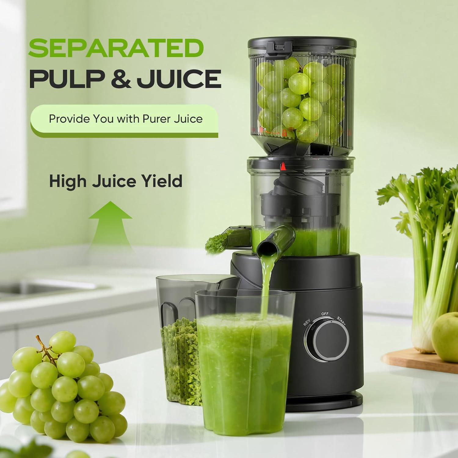 Cold Press Juicer  150W Slow Masticating with Wide Chute for Leafy Greens and Fruits Easy to Clean