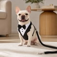 thumbnail image 3 of Puppy Harness and Leash Set,No-Pull Adjustable Dog Harness for Small Dogs,Dog Birthday Gift Set,1 Pack, 3 of 4