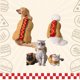 thumbnail image 2 of Ropa divertida para perros y gatos para Halloween, disfraces de Navidad, disfraces de perros calientes, talla XS, 2 of 5