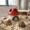 thumbnail image 1 of Casa de cerámica para hámster, pequeño animal, adorable hábitat interior tipo cueva para mascotas pequeñas: , hámster enano, jerbo, erizo. Rojo, 1 of 10