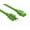 Green, variant on Cable Leader Computer Power Cord 1 ft - Red | NEMA 5-15P to IEC 320 C13, 18 AWG, 10A, UL Listed