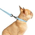 thumbnail image 3 of One Paw, Silicone Dog Collar with Metal Buckle, Water Repellent, Multiple Sizes and Colours, 3 of 11