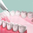 thumbnail image 3 of Dog Plaque And Tartar Remover, Ultrasonic Teeth Cleaner For And Cats, Ultrasonic Dental Kit, Dental, 3 of 3