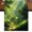 Green, variant on Table Runners 72 Inches Long Dress Scarves, Green Forest Farmhouse Kitchen/Dining Table Runner, Coffee Tablerunners, Nature Spring Scenic Woodland 16x72 Inch
