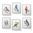 thumbnail image 3 of Twigs Paper - American Birds Note Cards - Set of 12 Blank Assorted Greeting Cards With Envelopes (5.5 x 4.25 Inch) - 100% Eco Friendly Stationery - Made In USA, 3 of 8