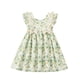 thumbnail image 1 of Vestido de Fiesta de Navidad de las Niñas de Pecho Delgado sin Mangas Cintura Acanalada Falda Francesa Cinchada para Dormir Vestido de Navidad de Ocio Diario Niña Bebé, 1 of 7