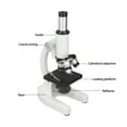 thumbnail image 4 of Kit de microscopio microscopio monocular para niños 640X para células ANGGREK Otros, 4 of 8