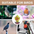thumbnail image 4 of generic Hanging Wild Bird Feeder Glass Bird Waterer Iron Hook Hummingbird Feeder Food Container for Garden Tree Yard Decoration, 4 of 8