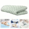 thumbnail image 2 of Extra Large Dog Cooling Mat, Non-Toxic Washable Pet Cooling Pad with Ice Silk & Mesh, Portable Non-Slip Puppy Bed for Summer(Light Green,XL), 2 of 7