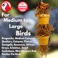 thumbnail image 7 of Bonka Bird Toys 3867 Duo Money Pot Natural Chew Shred Forage Parrot Cage Toy Pet, 7 of 7