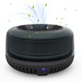 thumbnail image 1 of Purificador de aire QUEENTY Car Ionizer True H13 Filtro HEPA negro, 1 of 6