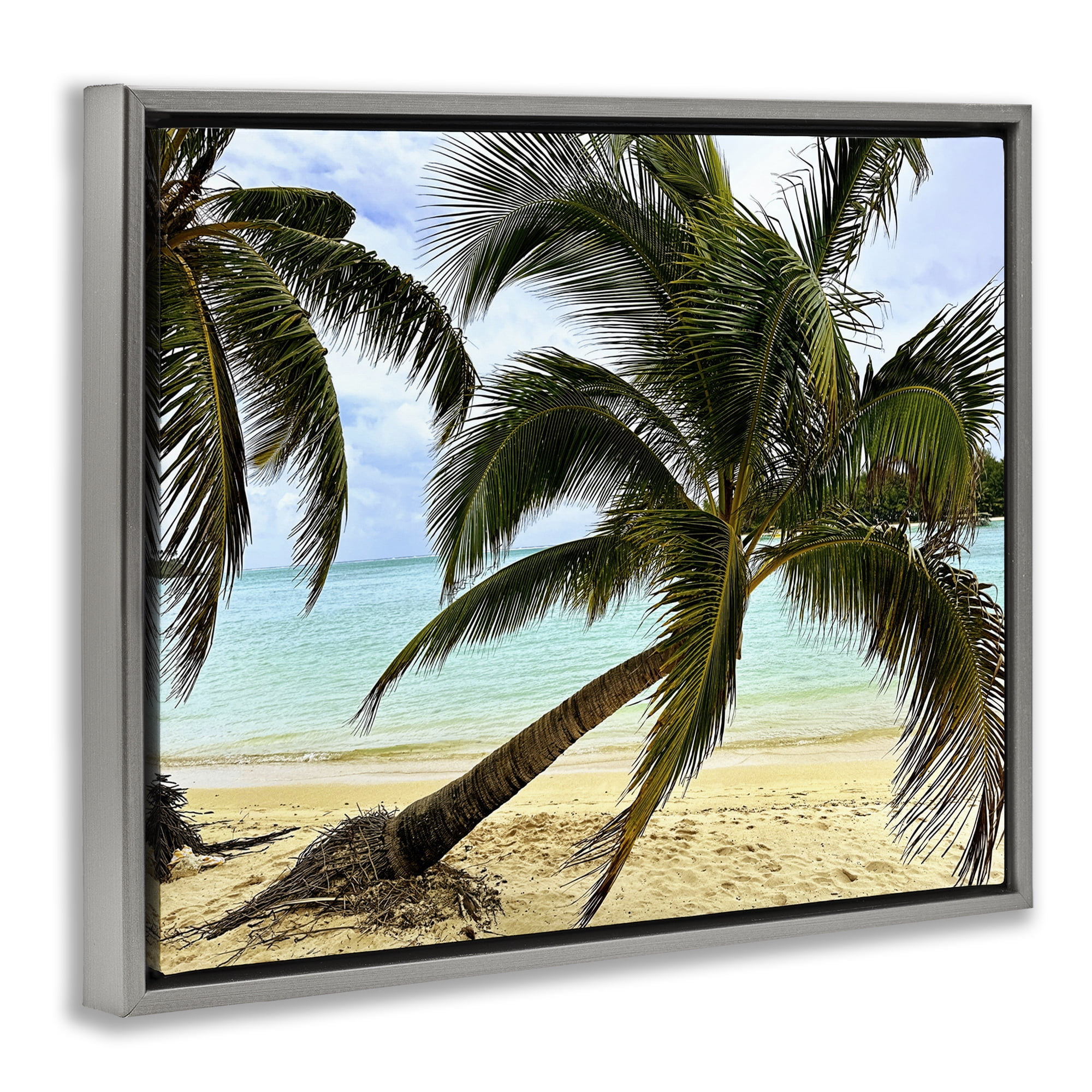 Stupell Industries Leaning Palms on Beach Landscape Photography Gray Floater Framed Canvas Art Print Wall Art, 31 x 25