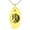 Gold, variant on Stainless Steel Janus Greek God of Beginnings Engraved Small Oval Charm Pendant Necklace