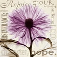 thumbnail image 2 of Koetsier, Albert 26x26 White Modern Wood Framed Museum Art Print Titled - Rejoice - Violet Chrysanthemum, 2 of 4
