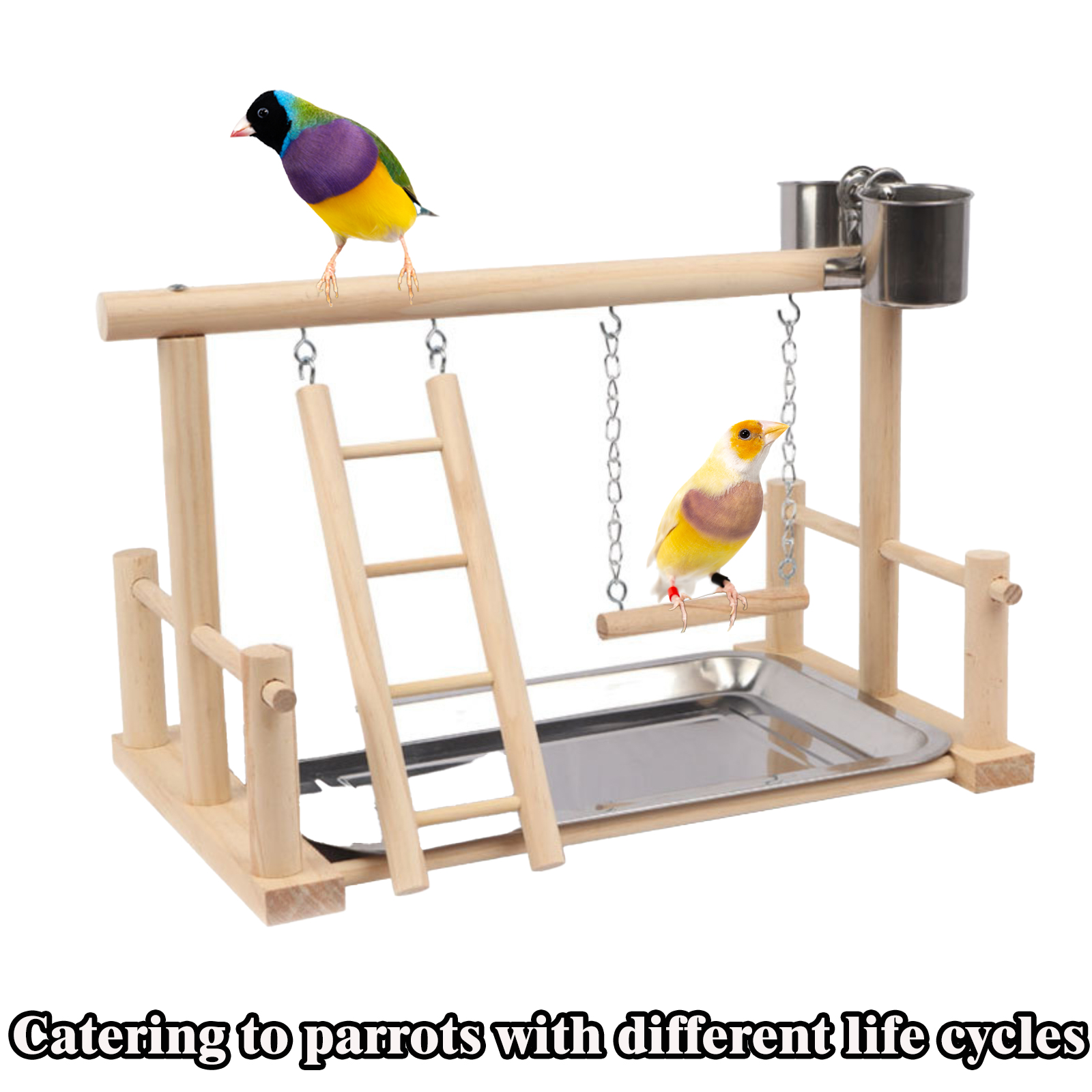 Multifunctional Parrot Play Stand with Wood Perch for Small Medium Birds Perfect Bird Play Gym with Stainless Steel Feeder Bowl Walmart