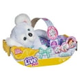 thumbnail image 4 of Little Live Pets Cozy Dozy Bedtime Buddy - Kip the Koala, 4 of 6