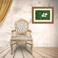 thumbnail image 3 of Audit, Lisa 24x17 Gold Ornate Wood Framed with Double Matting Museum Art Print Titled - Bunchberry and Ferns II color, 3 of 4