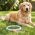 thumbnail image 3 of Vibrant Life Reflective Vinyl-Covered Tie-Out Cable for Dogs, L, 25', 3 of 9