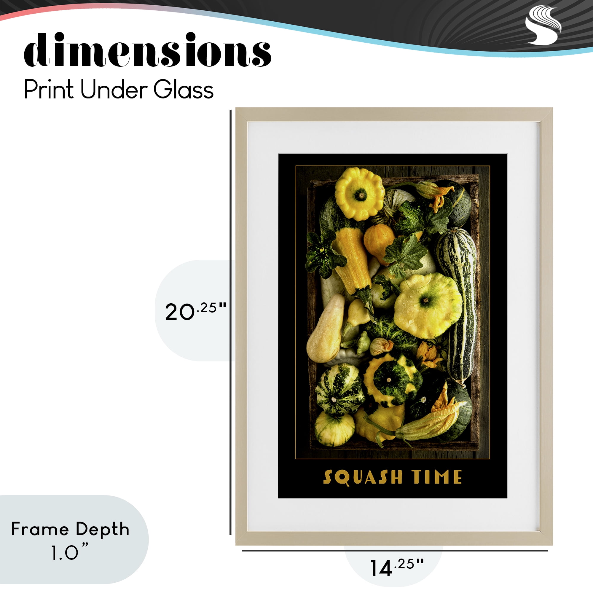 Stupell Industries Squash Time Vibrant Vegetables Birch Framed Print Under Glass, design by Carl Kravats