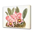 thumbnail image 1 of Póster de lienzo con dos orquídeas, decoración de dormitorio, paisaje deportivo, decoración de oficina, regalo, estilo marco, 12 x 18 pulgadas (30 x 45 cm), 1 of 8