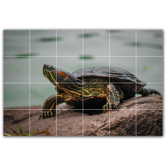 Picture-Tiles.com: Turtle Ceramic Tile Wall Mural WAL501048-64L. 48"W x 32"H using (24) 8" x 8" Ceramic Tiles-Satin Finish