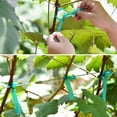 thumbnail image 4 of Paquete de 2 lazos de jardín de plantas verdes, estacas de vinilo de jardín para ramas, macetas trepadoras, floresAncho 1,1 CM Jormftte CPB-US-DYP96-1, 4 of 5