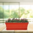 thumbnail image 4 of Miangastore 2pcs Plastic Vegetable Flower Planters Boxes Rectangular Flower Pots with Saucers, 4 of 8