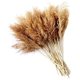thumbnail image 1 of 10 piezas de hierba de pampa, 60 cm, caña natural, flores secas, jarrones de flores secas, decoración, ramo grande seco, hierba, ramo de ceremonia de flores de boda, 1 of 5