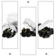thumbnail image 3 of OHOIOLLA 15Ud Conectores De Cable 2 Pines Resistentes A Choques Eléctricos Con Caja De Almacenaje, 3 of 5