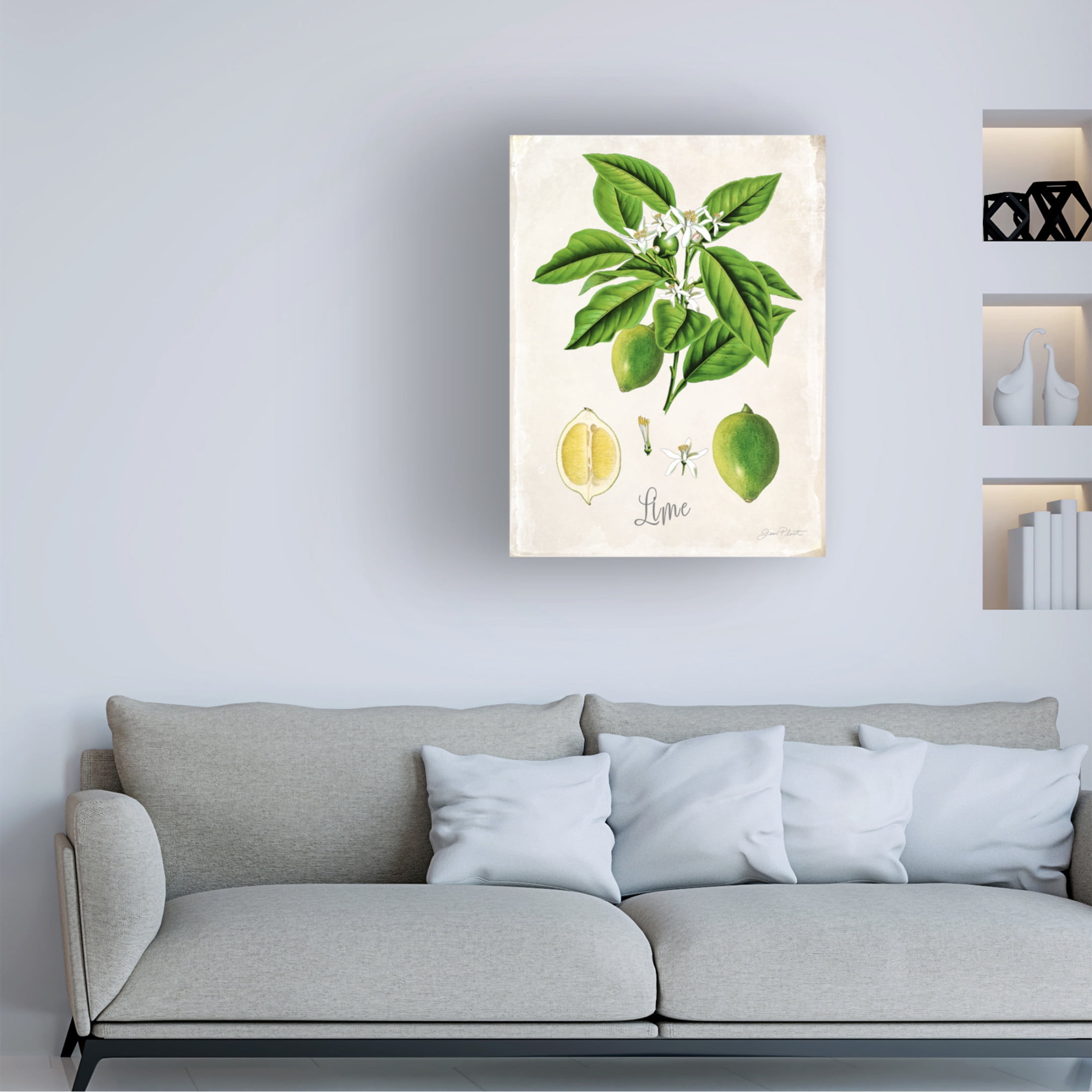Canvas Wall Art - Jean Plout 'Vintage Citrus Fruit Study C' Wall Art for Living Room, Bedroom, or Office Décor by Trademark Fine Art - 18 x 24 Inches