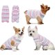 thumbnail image 1 of Traje de recuperación para cachorros, traje de recuperación quirúrgica para heridas abdominales o enfermedades de la piel, hombres y mujeres, mono antilamido para perros (M, rosa), 1 of 5