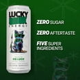 Lucky Energy Zero Sugar Energy Drink 19.2 Fl Oz Cans (Pack of 10