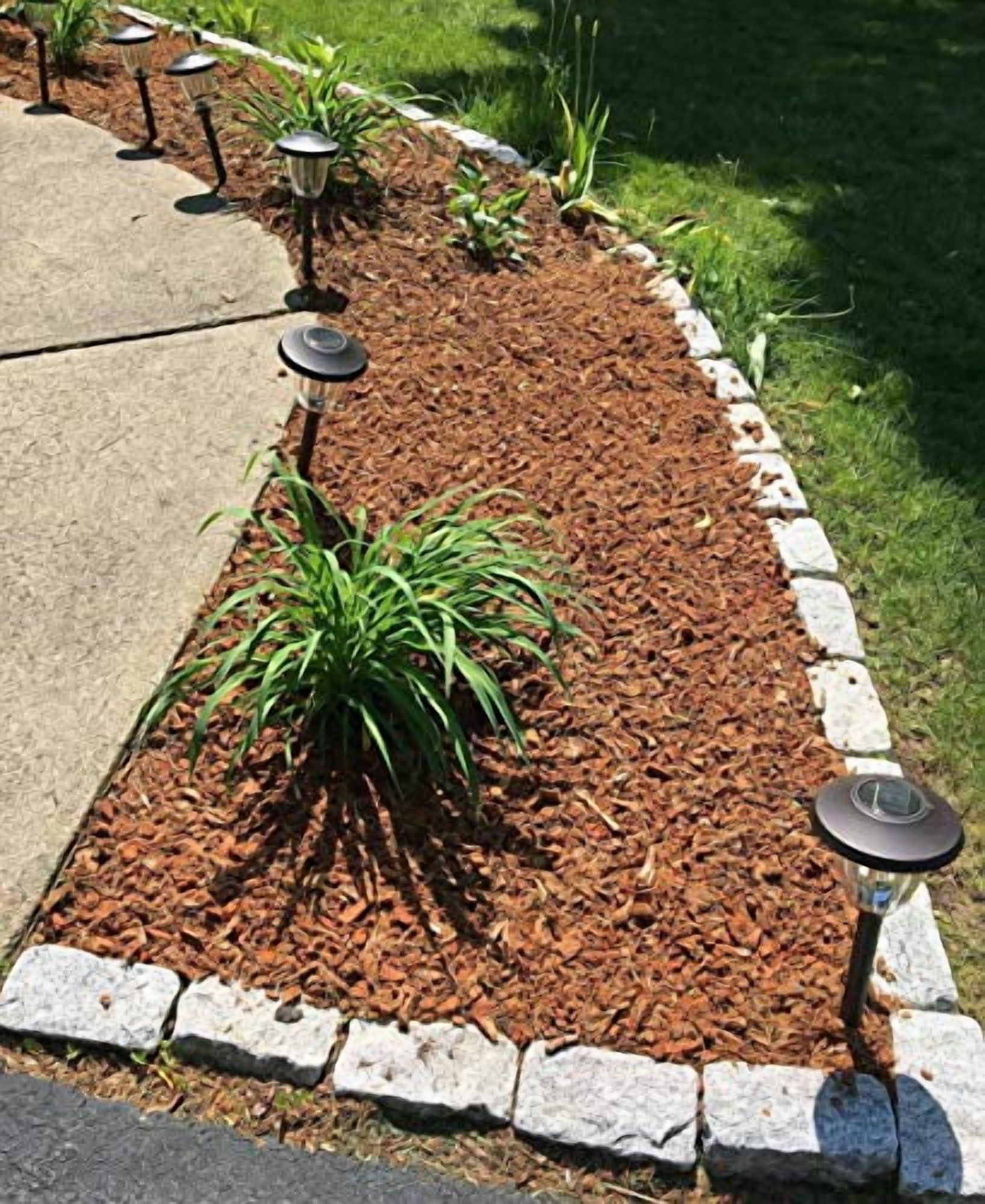 Coco Mulch, 11- Pounds (2 Pack)
