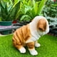 thumbnail image 3 of Garden Statues Of Pekingese Cute And Funny Sculpture Resin Figures Of Dog Sand Outdoor Decoration For Patio Yard, 3 of 4
