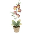 thumbnail image 5 of Northlight 14" Orchid Flower Artificial Potted Plant - Red/Yellow, 5 of 9